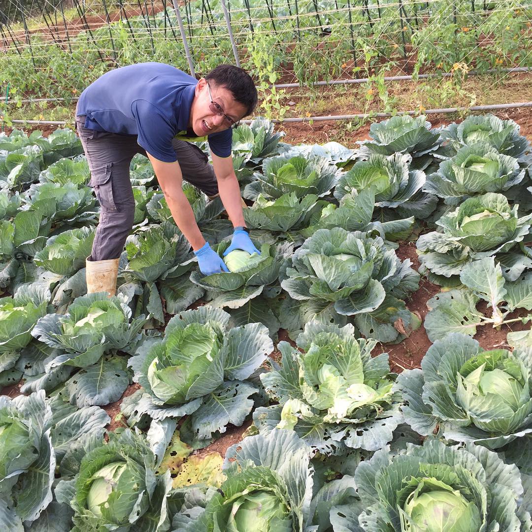 有机农场农家乐老板套图_现代型农民真实微信生活照片微信朋友圈包装素材3